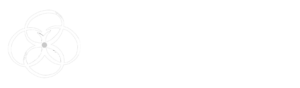 Vero Elous Criação de Sites